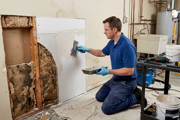 Mold and Drywall Repair Redlands
