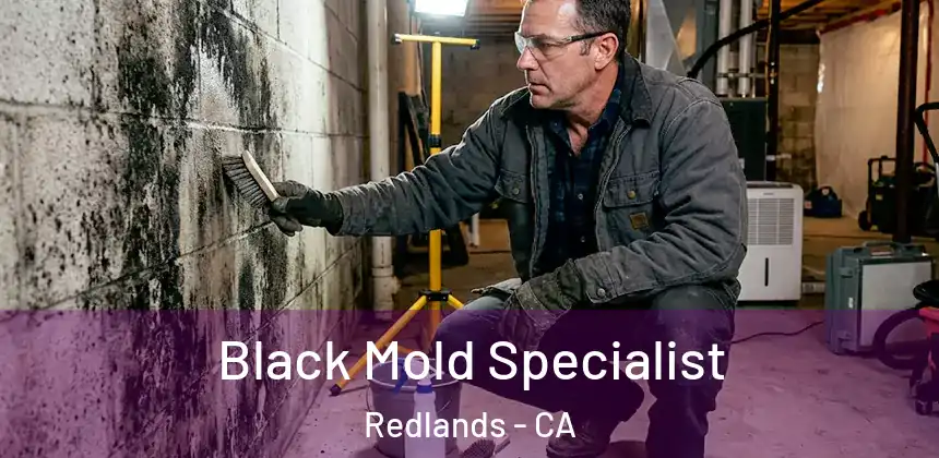 Black Mold Specialist Redlands - CA