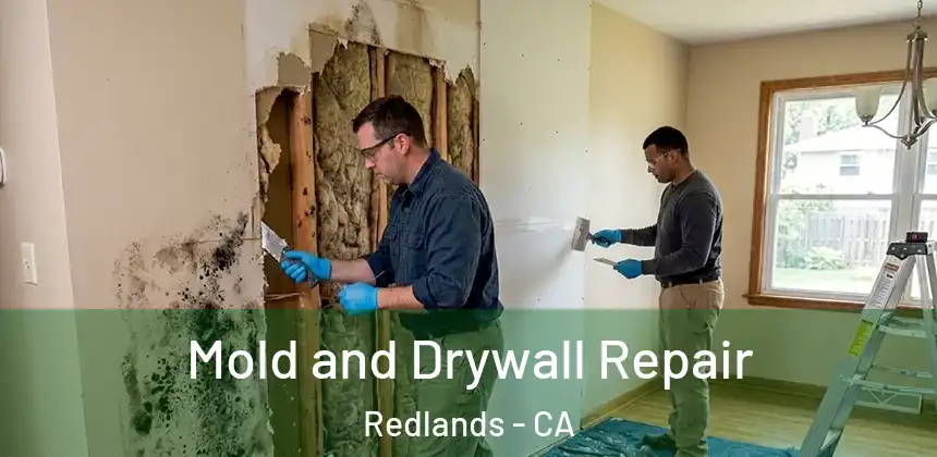 Mold and Drywall Repair Redlands - CA