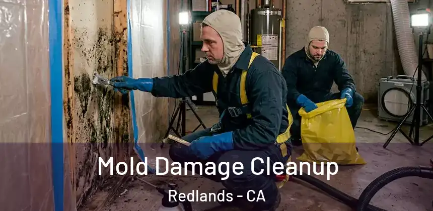  Mold Damage Cleanup Redlands - CA