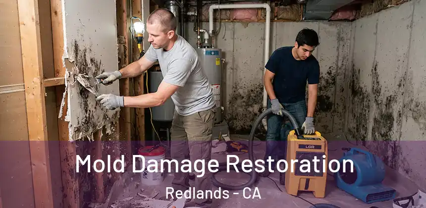  Mold Damage Restoration Redlands - CA