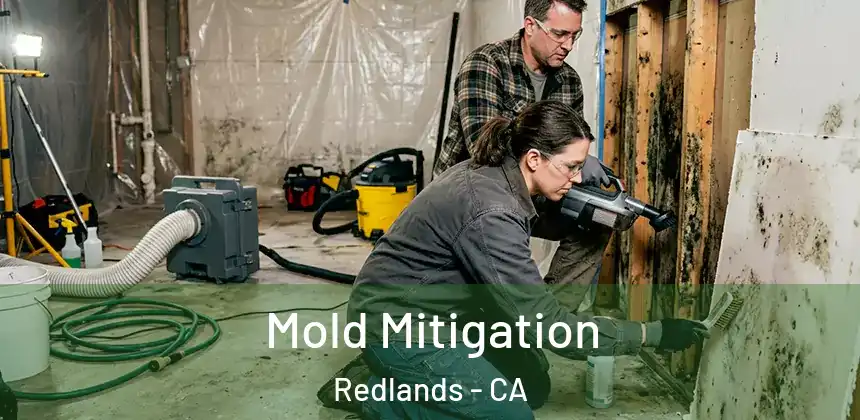  Mold Mitigation Redlands - CA