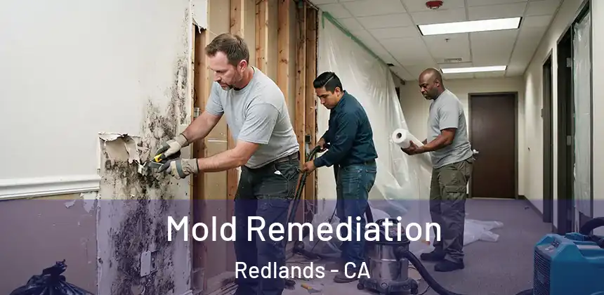  Mold Remediation Redlands - CA
