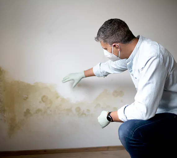 Mold Removal Service in Redlands, CA